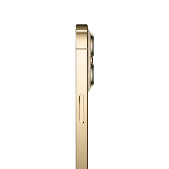 Apple iPhone 13 Pro Max Gold 1TB A Ανακατασκευασμένο