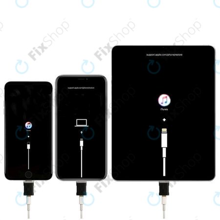 Εργαλείο Ανάκτησης iOS για 2UUL ResDog