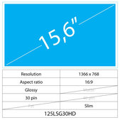 Οθόνη Slim Glossy, 15.6", 30 pin, Full HD, No brackets